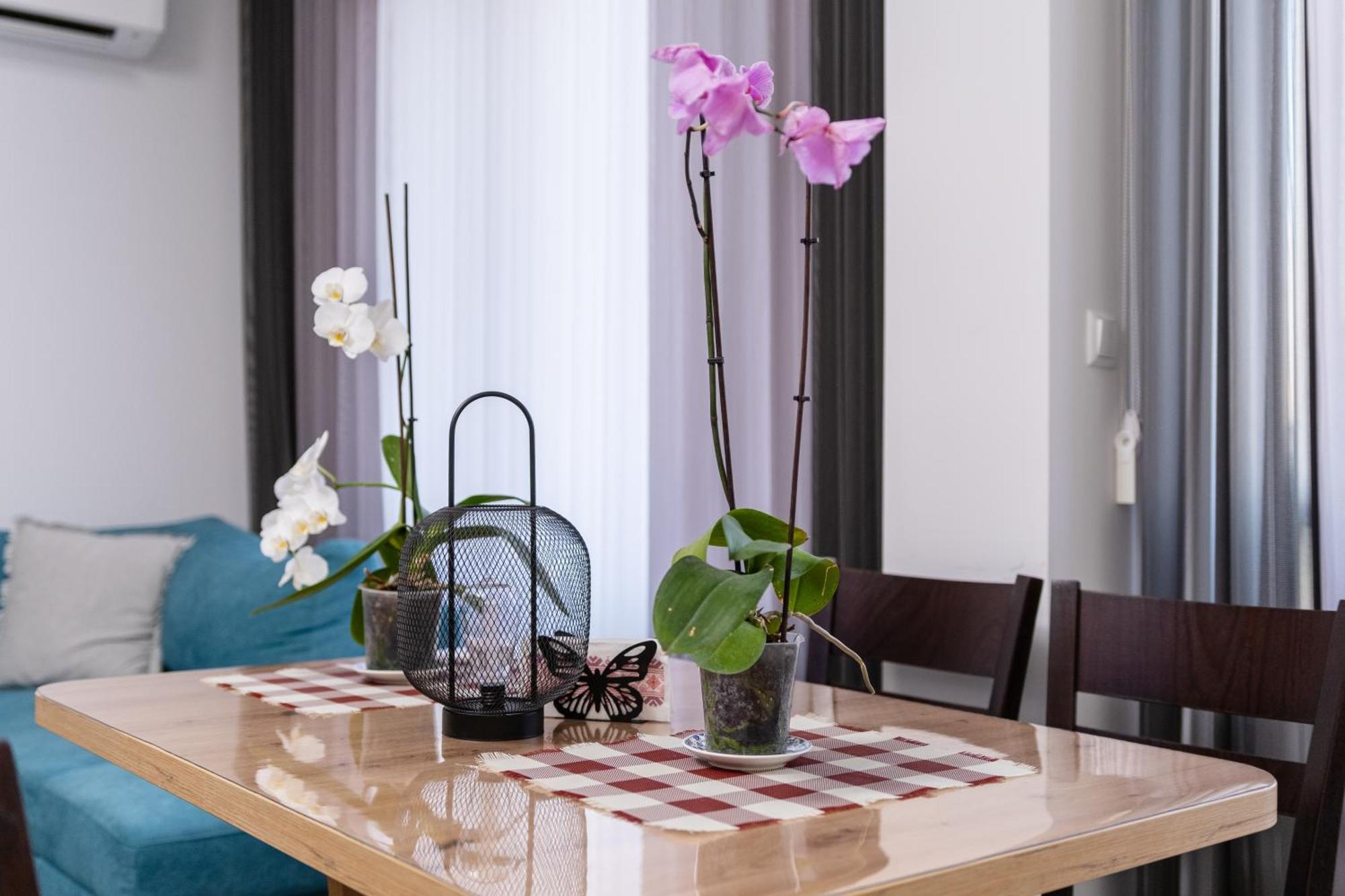 1-Bedroom Apartment With Free Private Parking 普罗夫迪夫 外观 照片